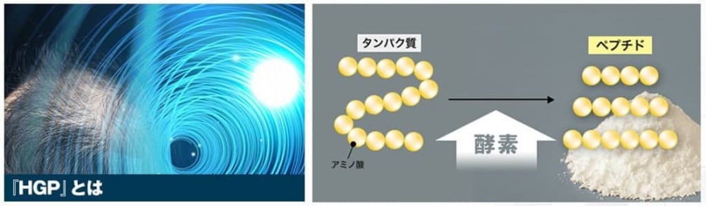 ファーマフーズのニューモ育毛剤 独自成分